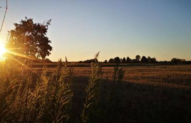 Na Chałupki - Foto 31