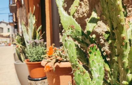 Casa Leo Encanto rural con gran terraza en La Puebla de Castro - Foto 7