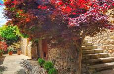 Apartamentos Palación de Santillana - Foto 13