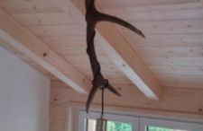 Ferienhaus Bergstätter Sonne - Photo 58