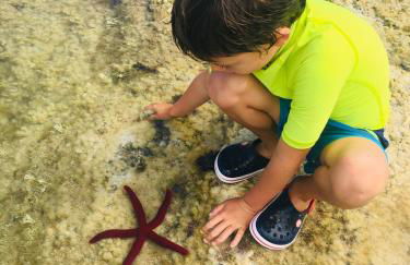 Sea Roots "Sea Zone" - Foto 43