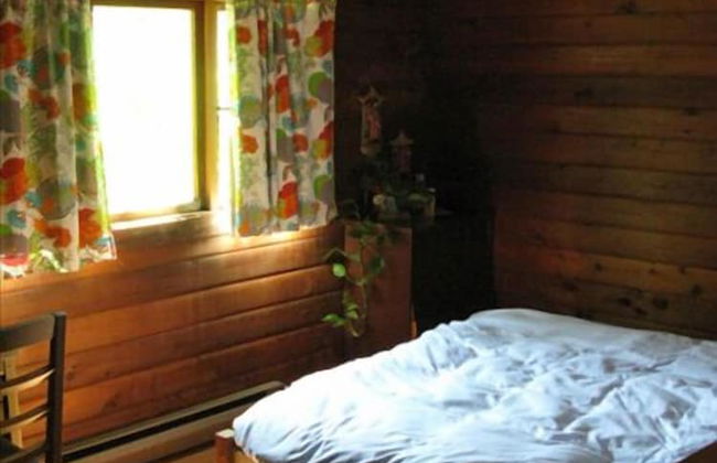 Riverside Adventures Vacation Rentals - Photo 4