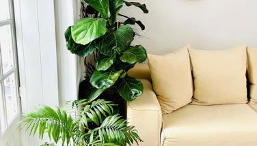 Casas das Piçarras - Alentejo - Foto 5