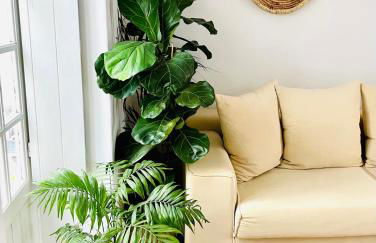 Casas das Piçarras - Alentejo - Foto 5