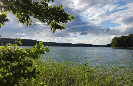 Natur pur! Exklusive Ferienwohnungen in historischer Poststation Bornkrug - Foto 26