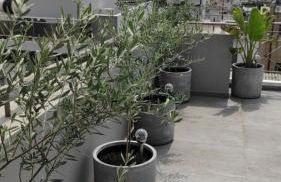 My Home in Greece - Photo 72