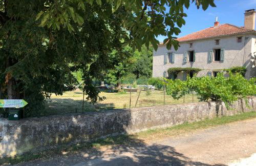 Gîte à la Ferme de Verdurette Cordes-sur-Ciel - Foto 29