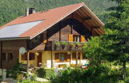 Les Picaillons - Le gîte - Foto 1