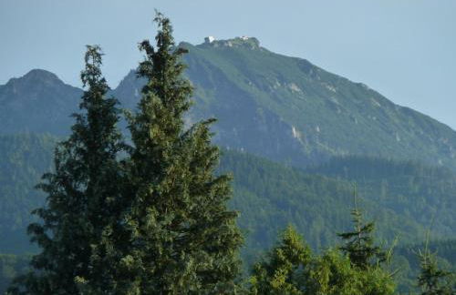 Alpenpanorama vacation home - Photo 14