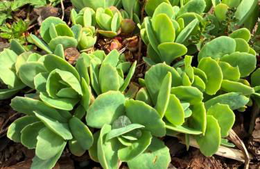 Villa HARMONIE - Foto 14