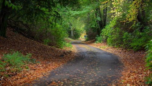 Glengarry Castle Hotel - Foto 3