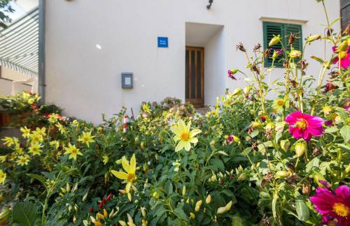 Apartments Tolj - Photo 18