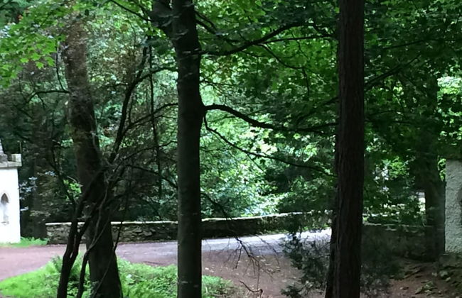 Priest Bridge Cottage - Foto 23