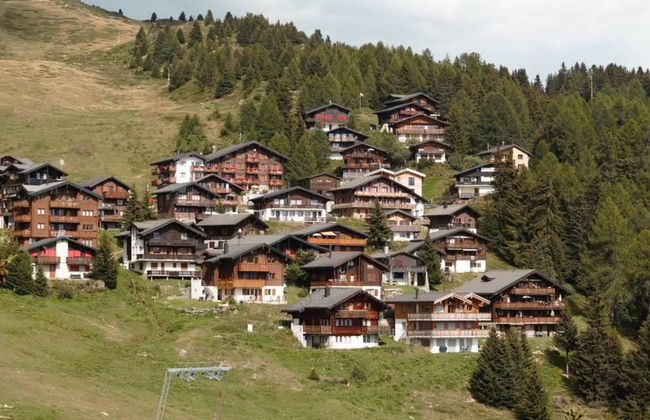 Bärgblüemli EG Süd - Foto 14