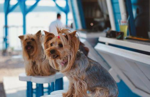 Apartment Nena - Foto 29