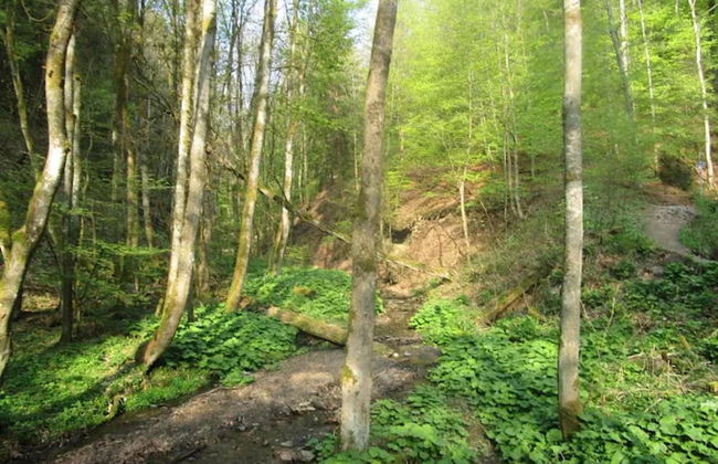 Ebenerdige Wohnung mit Terrasse in Winterberg - Foto 26