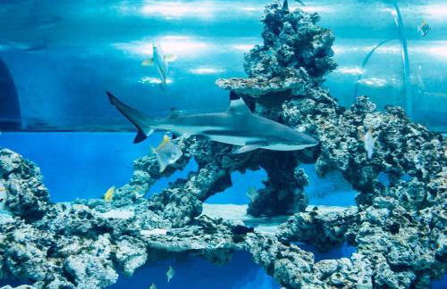 Apartament przy Aquaparku w Redzie - Foto 34