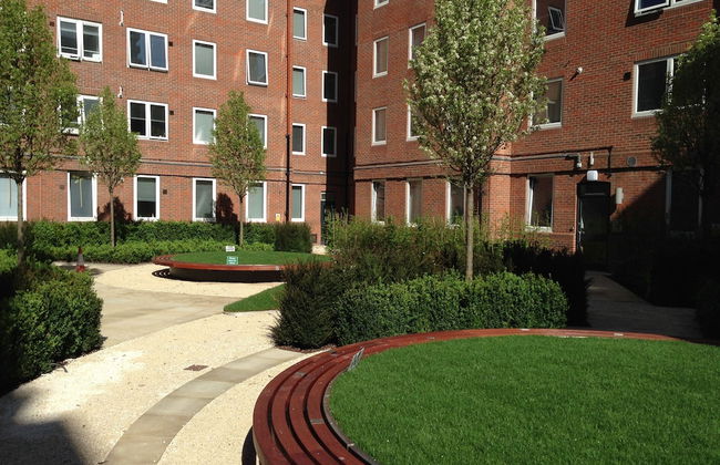 Student Only OLIB - Foto 33