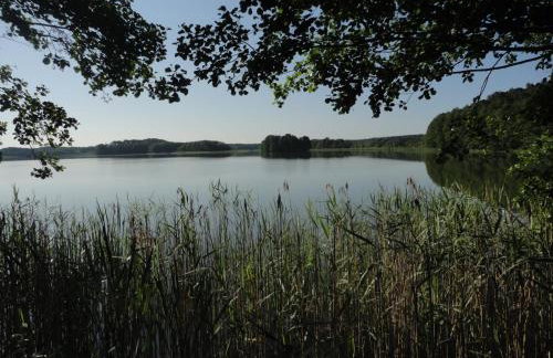 Ośrodek Wypoczynkowy Jaszczurka - Foto 22