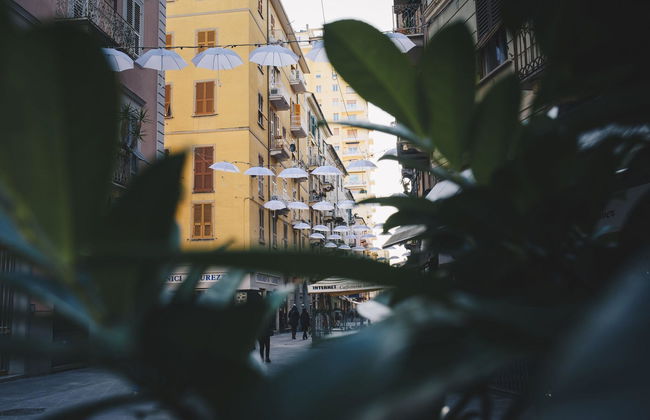 Affittacamere Superior Golfo 5 Terre - Foto 66