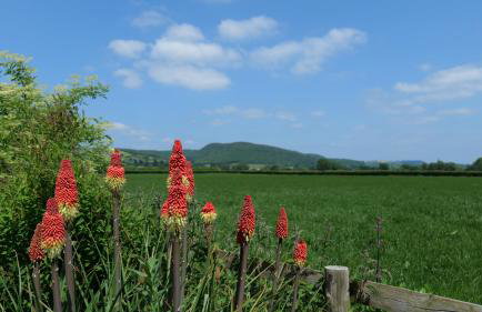 Country Cottage with Far Reaching Views - Foto 16