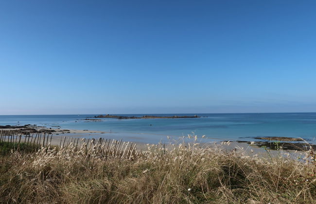 Les Genêts - Foto 21