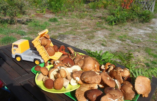 Cap'Cabane - Foto 18