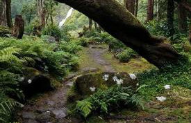 Casas da Quinta - Foto 35