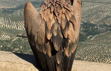 Casa Shanti - Foto 11