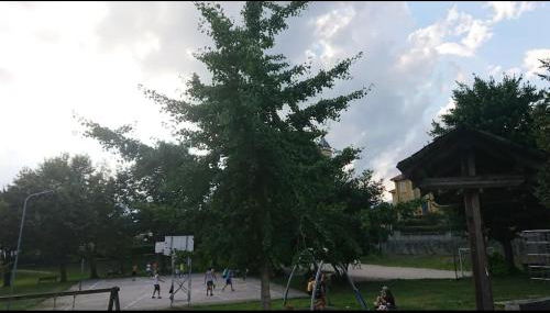 Canton Pasquera - Foto 4