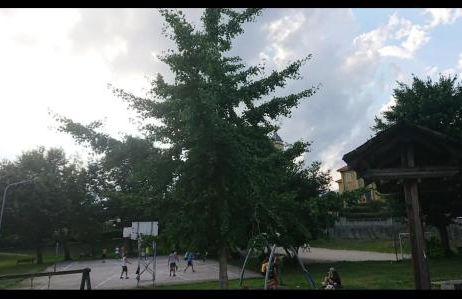 Canton Pasquera - Foto 4