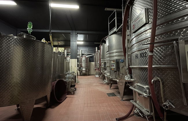 Il Colombaio Winery and Rooms - Photo 74