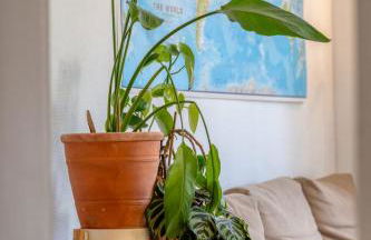 Le passage du renard pour 6 personnes avec parking - Foto 23