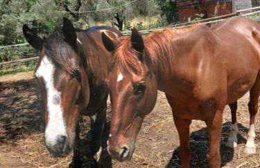 Il Nido di Erin - Photo 2