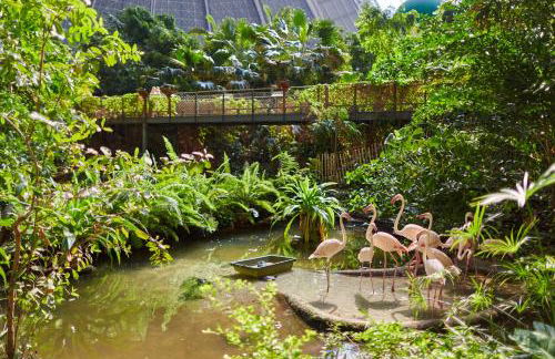 Tropical Islands Resort - Foto 68