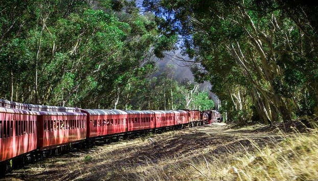 Vintage steam train carriages