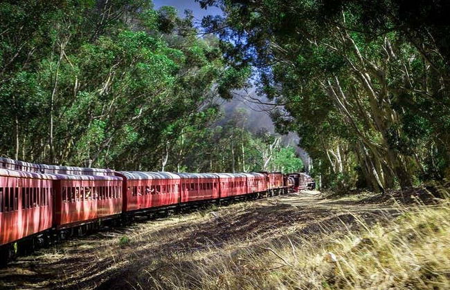 Locomotiva a vapor ao Mercado Ferroviário de Elgin - Foto 3