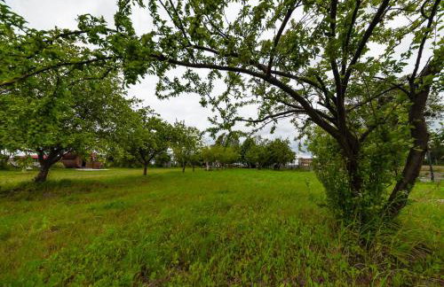 Chatka Czarodzieja - Foto 30