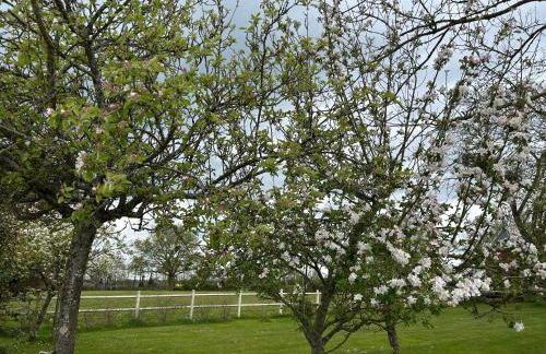 La Maison de l'Etang - Photo 36