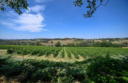 Tenuta Santa Cristina - Foto 35