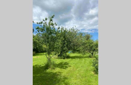 Gorgeous comfortable barn with huge private orchard in quiet Suffolk location - Foto 26