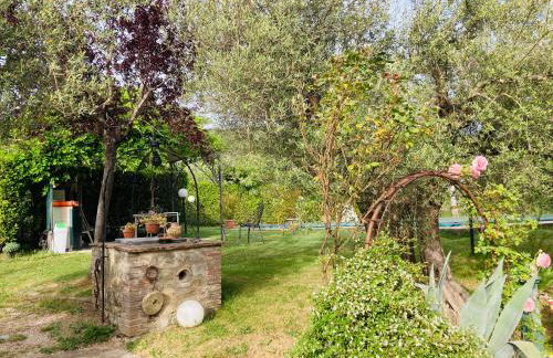 Le Coccole Del Trasimeno - Foto 29