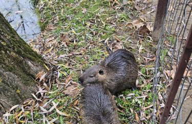 Kerkini's Harmony House - Foto 34