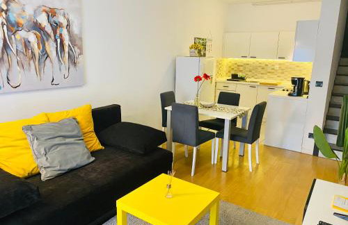 Nova Galerija Studio Ema i Apartman Anita- parking in garage - Foto 52