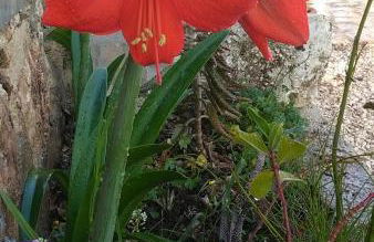 CASADORATA buen retiro vista mare - Foto 35