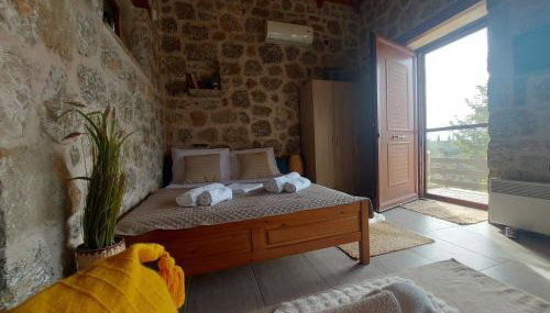 homonatura petrinum - Foto 2