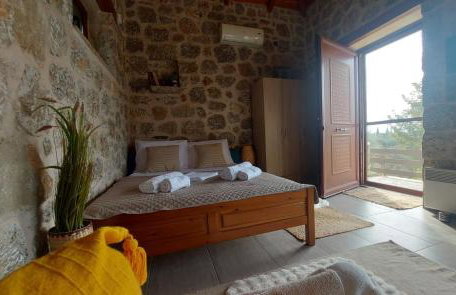 homonatura petrinum - Foto 2