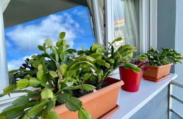 Amplitud y comodidad en Marín Centro - Foto 33