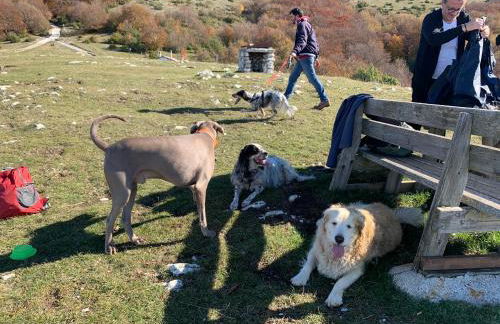 SetterHouseAgriHotel - Photo 56