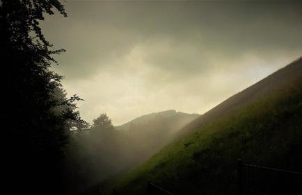 Czarodziejska Góra Kozubnik Daglezja - Foto 25